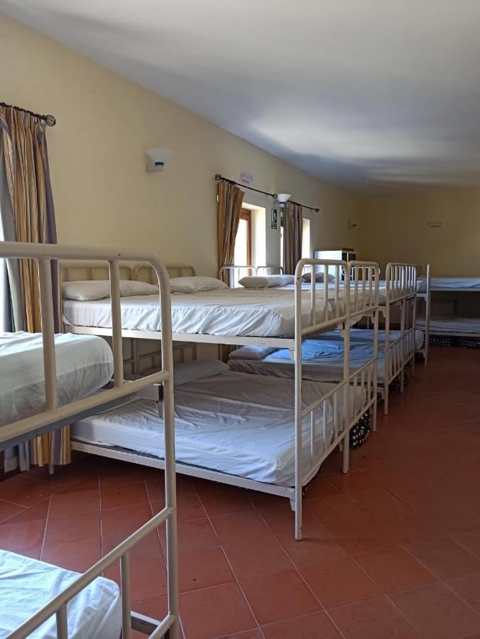 Albergue De Sos del Rey Católico Extérieur photo